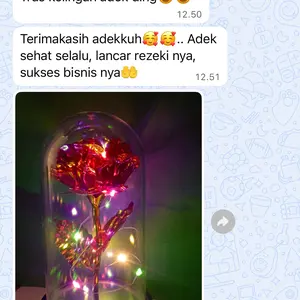 Ruangan Kamar Glass Lampu LED Bunga Mawar Dekorasi Beauty And The Beast Rose | Hampers Pajangan Kado Hiasan
