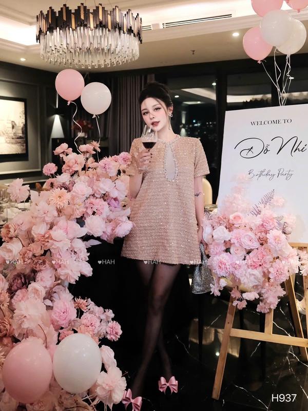 Váy dạ nữ váy blinh hồng hàng đẹp đính 2 hàng đá siêu xinh shop HN DESIGN