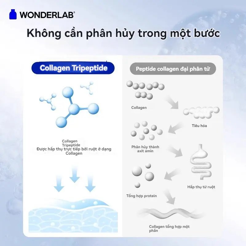 Nước Uống Dạng Lỏng Đường Uống Bằng Collagen Tripeptide Cá, WonderLab, 4 Chai Mỗi Hộp 2