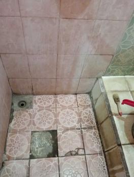 Product Review of 【inemjogja X Logeski】Logeski pembersih kerak wc Toilet Bowl Cleaner memiliki daya pembersihan yang tinggi. Tidak perlu menggosok dengan keras. Membersihkan toilet, mendisinfeksi dan membersihkan 99,9% from m** n**e 2