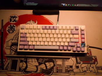 Product Review of MECHANICAL KEYBOARD - AJAZZ AK820 PRO - 75% - OLED - GASKET - SOUTH from S**m 0