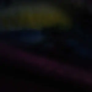 review image 4