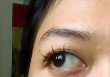 Product Review of [TANPA LEM] BAISISI Bulu Mata Palsu Individual Lashes Z11 Korean Segmentasi + FREE TWEEZER | eyelash extension | Douyin Lashes | Eye Make Up from ** 0