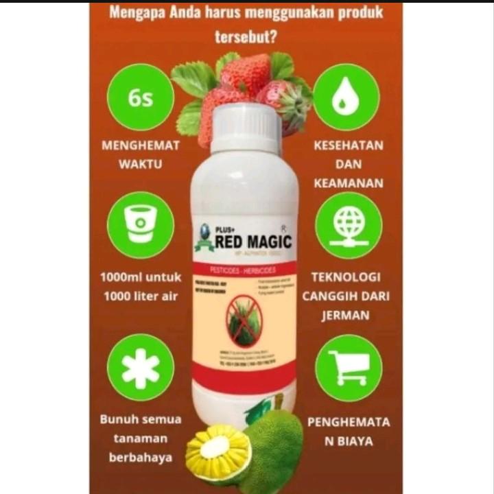 Red Magic Pestisida Paling Original 100% 0