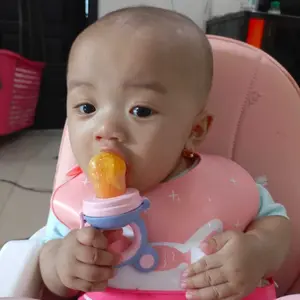 LULU BABY | Empeng/ Dot Buah Bayi Peremium Pegangan Kepala Beruang Pink Blue