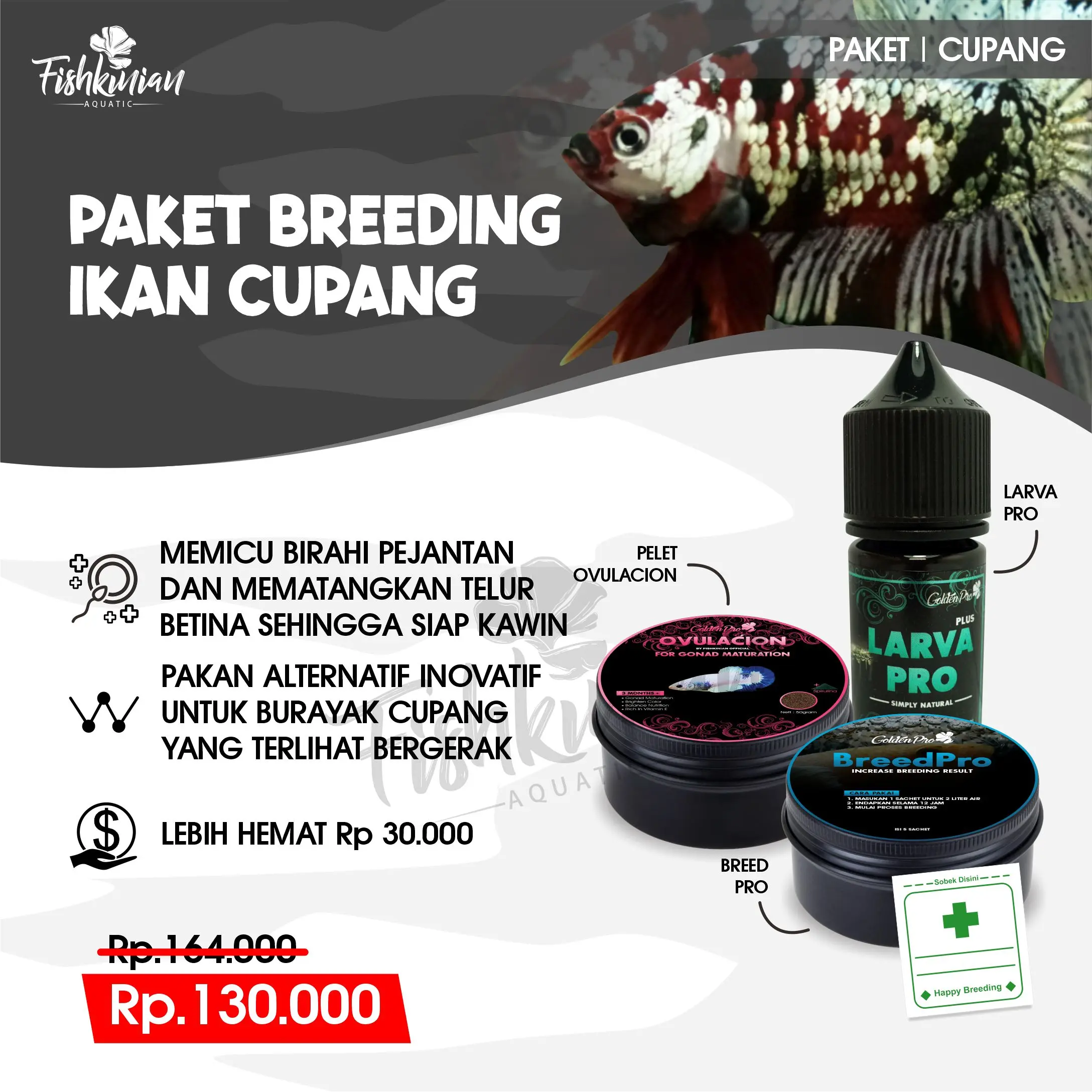 PAKET BREEDING TERNAK IKAN CUPANG BETTA