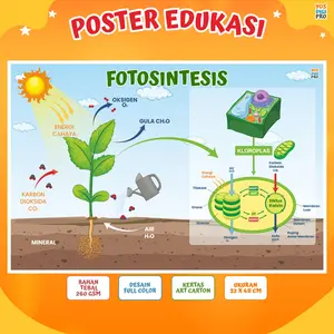 Poster Fotosintesis Untuk Edukasi Anak Usia Dini, TK, SD, SMP Untuk Alat Peraga