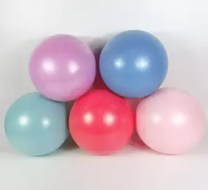 Pilates Yoga Mini Ball 25cm Bola Fitness Gym Senam Exercise