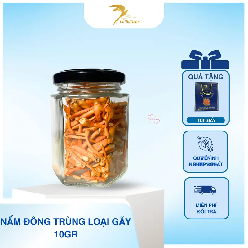 [KHO DTT] Nấm Đông trùng hạ thảo- Loại gãy- sấy thăng hoa- Yến sào Đỗ Thị Toán 2