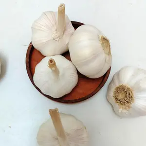 BAWANG PUTIH BIASA - BAPUT KUALITAS SUPER