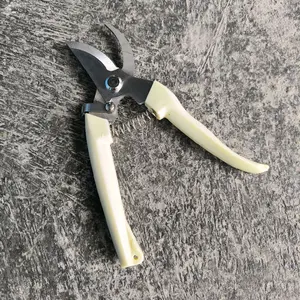 Gunting Ranting Pruning Tanaman Pemetik Buah