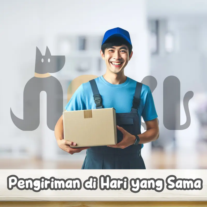 NOKI OBAT MATA TETES KUCING CAT AMPUH MENGOBATI IRITASI MATA KUCING ANJING SAKIT BENGKAK BELEKAN DROP UNTUK PEMBERSIH BELEK HEWAN 3