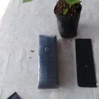 Gambar 10 Lembar polybag kecil Cocok untuk semai benih tanaman Murah - Varian, Standar dari Nada fast benih jaya Kab. Banyumas 3 Tokopedia