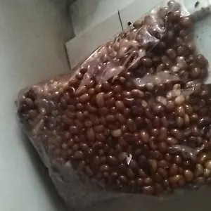 Kacang Tolo Merah Premium Original Empuk Tanpa Garam MSG Crisps Puffed Snacks Food Ayam Cemilan Goreng Asin Keripik Makanan Camilan Sehat Aman