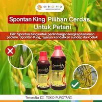 Gambar Insektisida spontan 400 sl 200ml 500 ml 1lt Basmi Hama Tanaman Padi dari PUROTANI.ID Kab. Purworejo 5 Tokopedia