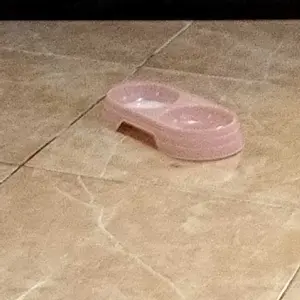 Tempat Makan Double Bowl Kucing Anjing Anti Semut Mangkok Perlengkapan Hewan Peliharaan Ukuran