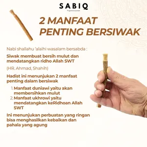 SABIQ Siwak Miswak Kayu Asli Natural Untuk Bersiwak Kayu Siwak Asli Untuk Kesehatan Mulut Dan Spiritualitas Anda
