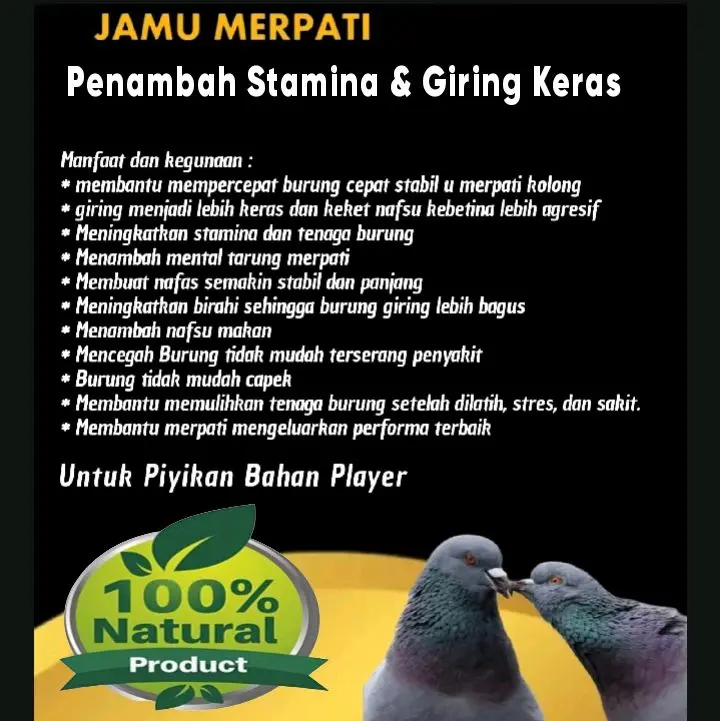 Jamu Merpati Giring Keket Keras Paling Ampuh dalam 2 hari pil edan pil alus extra ginseng teki plus 6