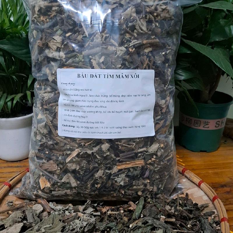 1kg Trà Lá Bầu Đất Tím Kết Hợp Mâm Xôi