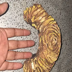 JEMBATAN BASKING KURA-KURA TURTLE REPTIL JEMUR TENGGER SALAMANDER