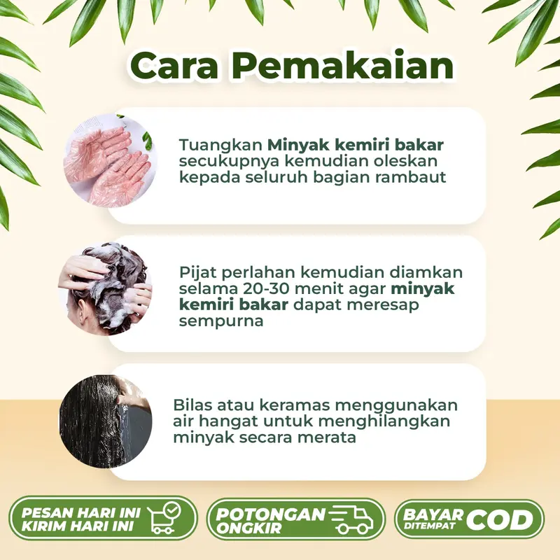 Minyak kemiri bakat original asli 100% penumbuh rambut botak, rontok, dan pelebat rambut, mencegah uban 2