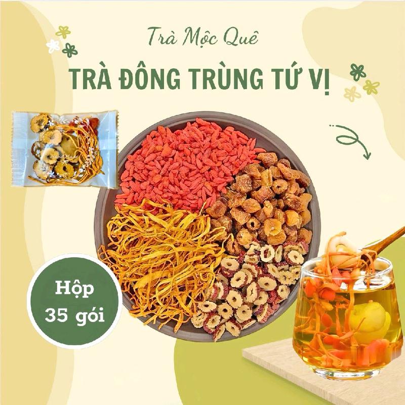 Hộp 30 Gói TẶNG 5 Gói Trà Đông Trùng Hạ Thảo Tứ Vị nguyên liệu hữu cơ sấy lạnh Tea Nước Trà Chè
