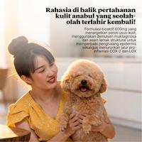 Gambar Tropical Apothecary DERMAL RESTORATIVE Suplemen Bulu Rontok Anjing Gatal Jamur Kulit Merah Dog 600mg dari Fresh Shield Indonesia Kota Administrasi Jakarta Barat 3 Tokopedia