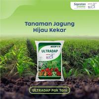 Gambar Pupuk Ultradap Pak Tani 1KG Kristal Tanaman Sayur Holtikultura dari PUROTANI.ID Kab. Purworejo 5 Tokopedia
