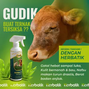 Herbatik Anti Gudik – Obat Herbal Alami untuk Sapi & Kambing dari Gatal, Kudis, Gudik, Kurap, dan Infeksi Kulit