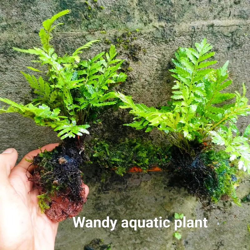 miniatur terowongan kelapa sawit sintetis aquarium 2