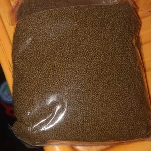 Pelet PF500 PF1000 100gr, 500gr, 1Kg Makanan Burayak Ikan Lele Nila Konsumsi