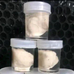 3 Pcs pulut getah bendo original