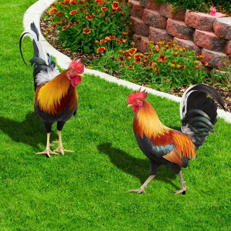 Courtyard Lawn Backyard Home Decoration Hen Statue Garden Rooster Statue Acrylic Sculpture Outdoor Yard Rooster Decoration