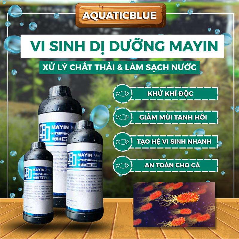 Vi Sinh Dị Dưỡng Mayin Xử Lý Nước Hồ Cá – Làm Trong Nước Giảm Mùi Hôi Ngăn Rêu Hại Cho Bể Cá Cảnh & Thủy Sinh - Chai 900ml 500ml 250ml