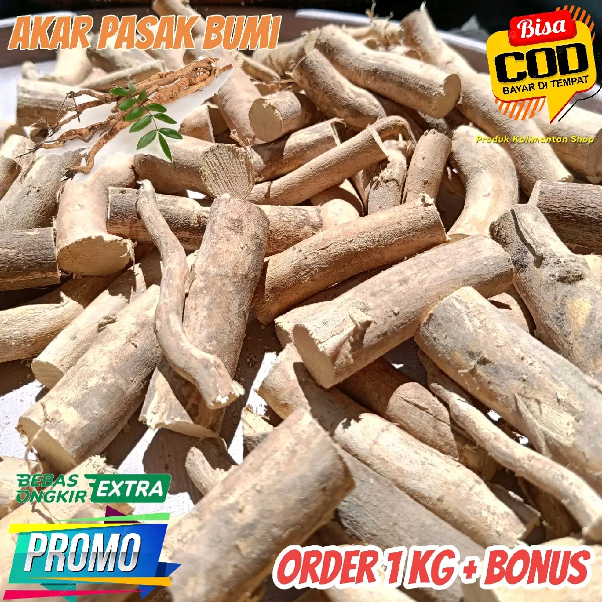 1 KG Herbal Akar Pasak Bumi