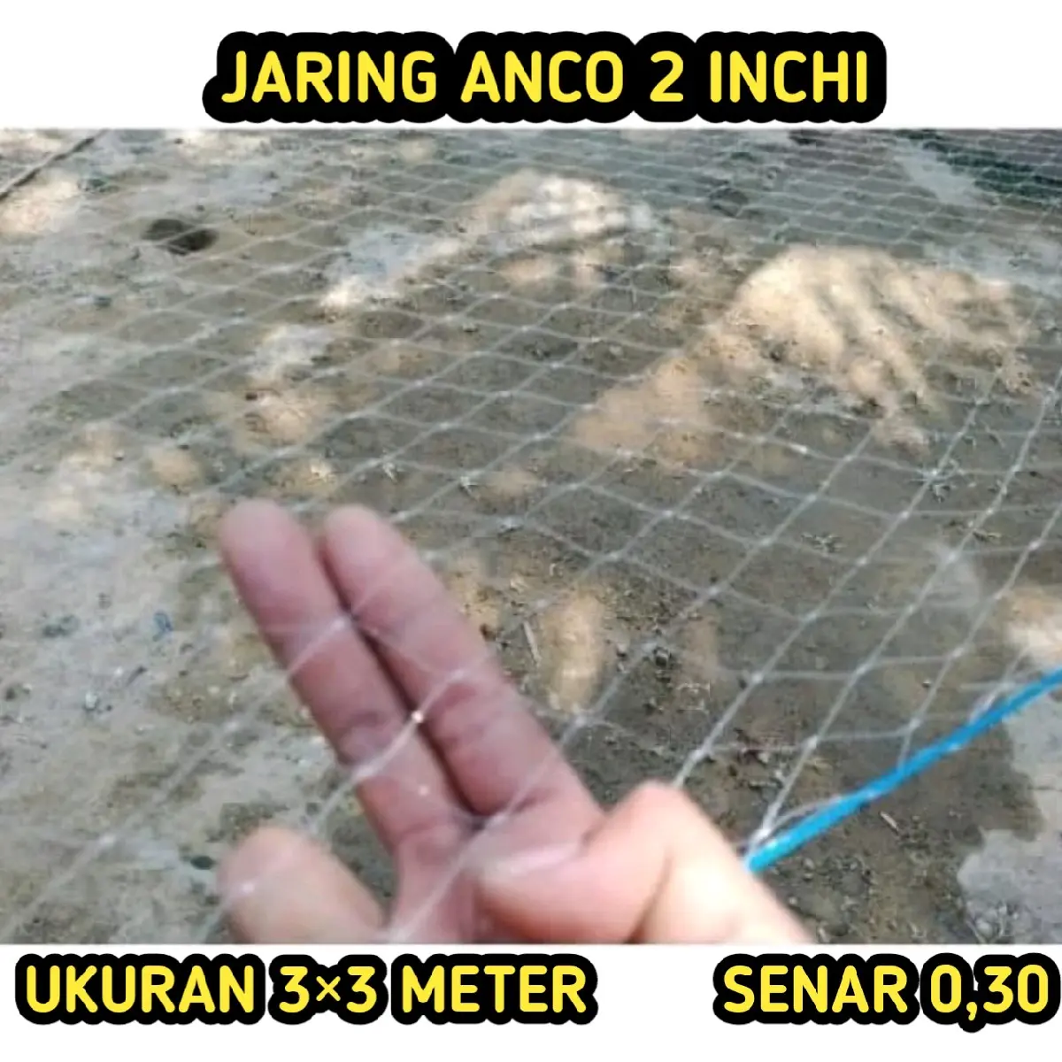 Tangkul ikan jaring anco 2 inchi senar 0,30 ukuran 3×3 meter khusus ikan besar branjang ikan nilla Gabus Bawal Lele