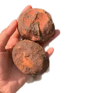 gambir kering untuk sirih