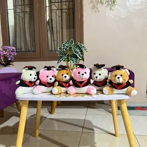 Paket Boneka Teddy Bear Toga Velboa 110rb isi 10pcs Cocok Untuk Bucket Wisuda - Dolls, Toys