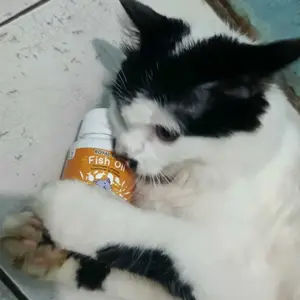 Holycatlabs ROYAL CARE FISH OIL Minyak Ikan Premium Vitamin kucing dan Anjing