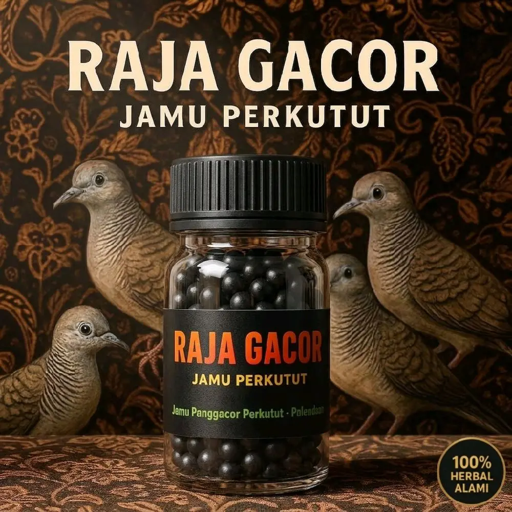 RAJA GACOR MURAH isi 100 Pil jamu tradisional perkutut cepat gacor dan rajin manggung kutut lokal dan Bangkok apbn