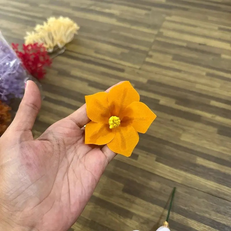 Bunga pucuk beludru tebal 1