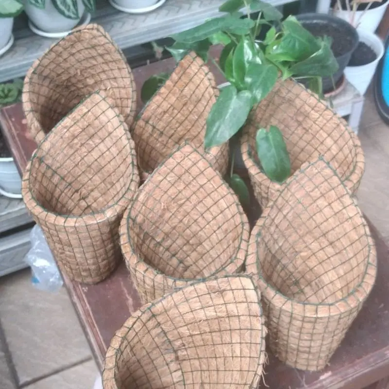 Pot anggrek tempel dinding serabut kelapa Bunga Pvc 3