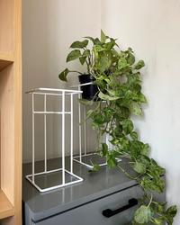 Gambar VERTUREWIRE Rak Pot Tanaman Standing Pot Besi Tebal Finishing Plastik Putih Tahan Karat Kuat Kokoh untuk Dekorasi Rumah Hijau - Kecil dari verturewire Kab. Tangerang 3 Tokopedia