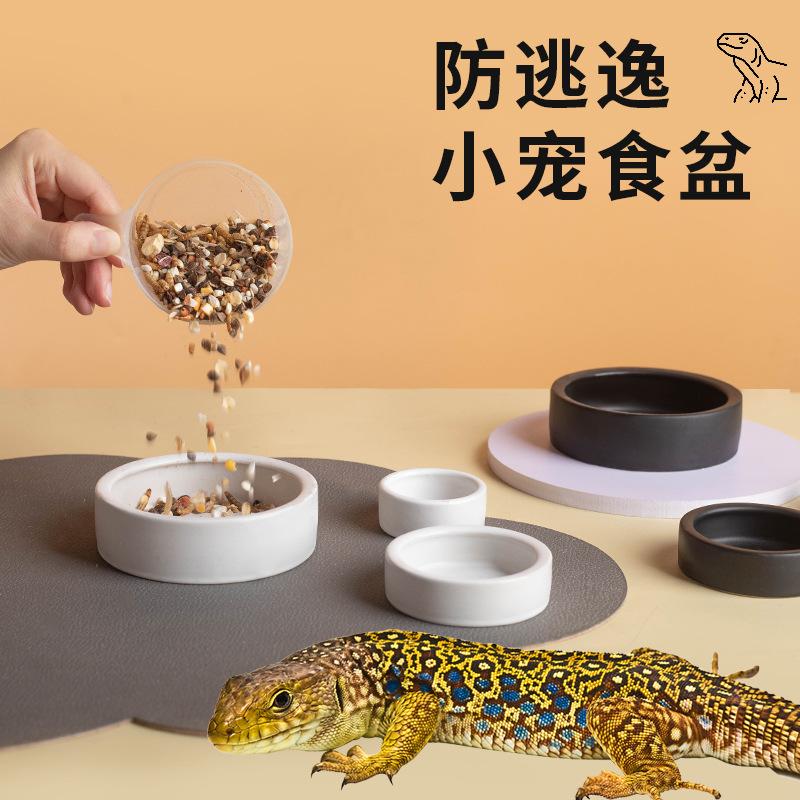 Bát gốm sứ đựng sâu bột, chống thoát cho côn trùng sống, hình tròn, màu trắng,…