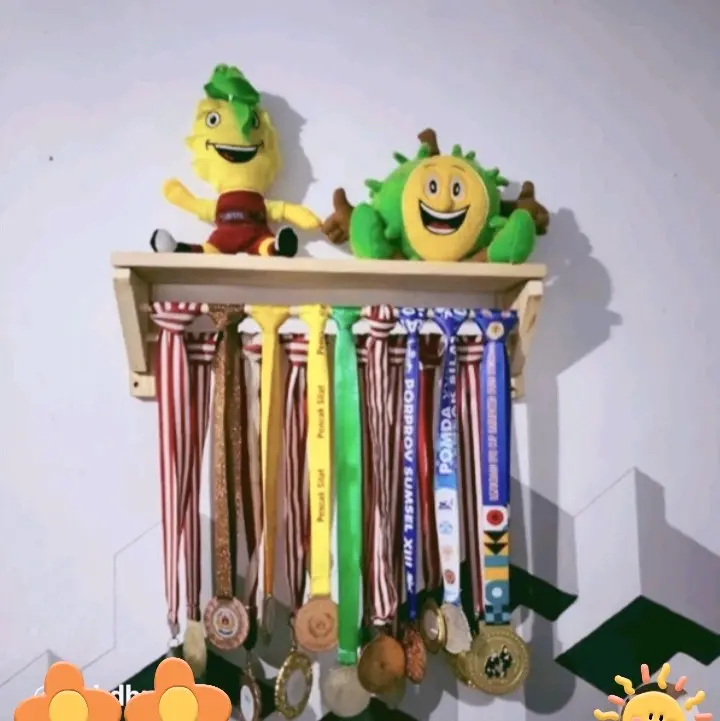 Rak Gantungan Medali Tropy Piala Dinding Dapat disesuaikan