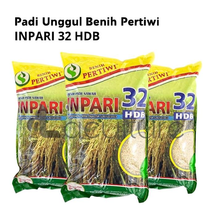 Bibit Padi Unggul