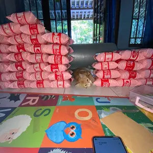 EXTRA PACKING KARDUS POLYMAILER