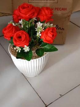 Product Review of Bunga hias MAWAR TELUR Vas Garis from €**$ 0