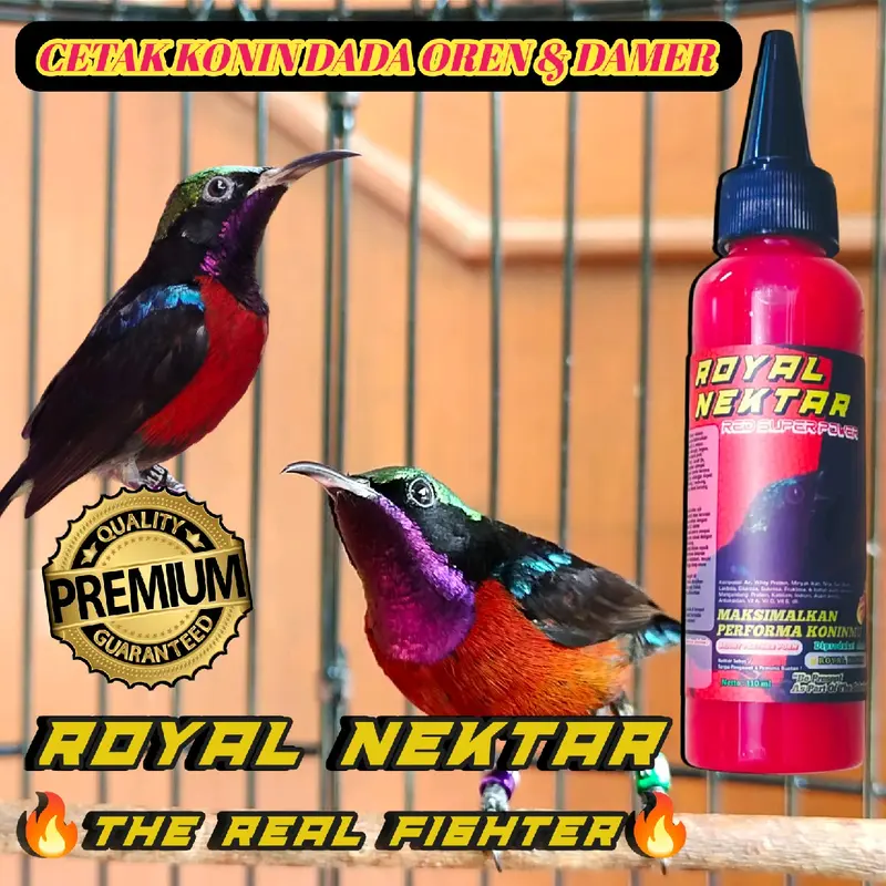 Royal Nektar Red Super Power Nektar Harian & Lomba Kolibri Ninja Lengkap dengan Multivitamin dan Nutrisi sehingga Mencerahkan Warna Bulu Dada Konin 4