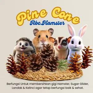 MAINAN GIGIT HAMSTER PINE CONE BIJI PINUS BUAH CEMARA